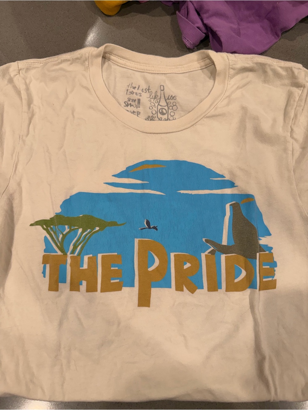 The Pride Graphic Short Sleeve Tee in Cream